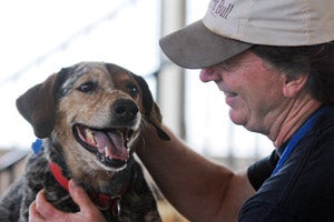 Samuri the dog receiving some love from his caregiver