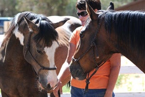 Trainer with Fiona the horse and another horse