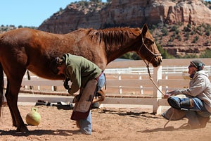 Michele with Aleah the horse who has been successfully trained