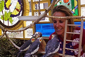 Adopted cockatiels in their outdoor aviary with their new mom