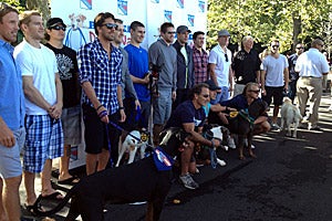 New York Rangers support homeless pets