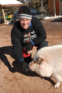 Hazel the pig who has mechanical blindness with a caregiver