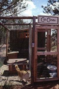 Old Cat World at Best Friends Animal Sanctuary