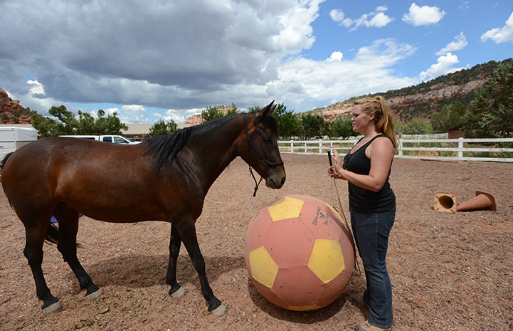 Katie with Isabella doing Parelli horse training