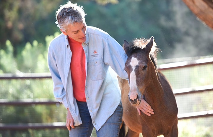 Prince the foal is now starting to grow up