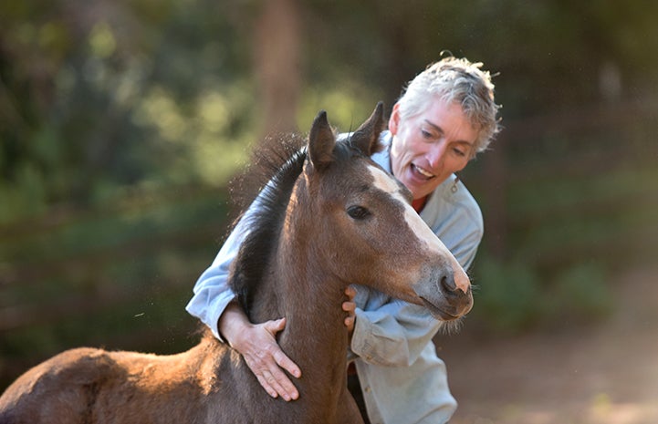 Linda enjoying a snuggle with Prince the foal 