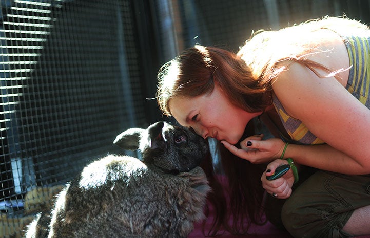 Caregiver Heather with Flemish rabbit Bodie