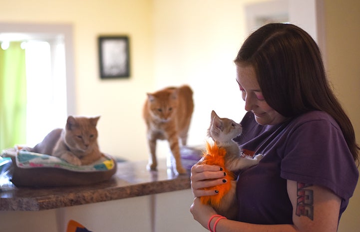 Katie holding Gingersnap the kitten in front of her other cats