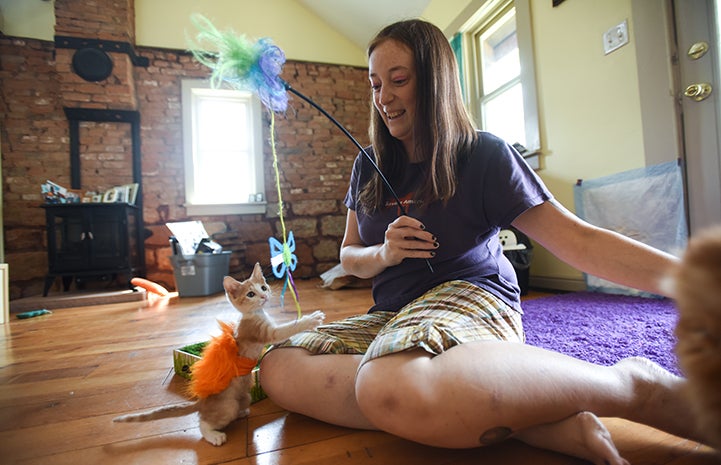 Katie playing with Gingersnap the kitten