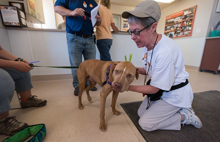 Doc the dog enjoys visits from his many friends and fans around Dogtown