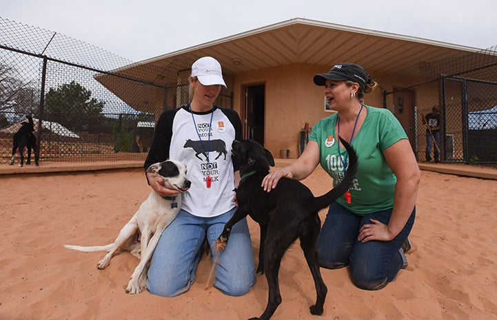 Mindy, a vegan chef, volunteering at Dogtown