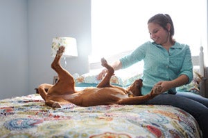 Amber the red dog with Carrie