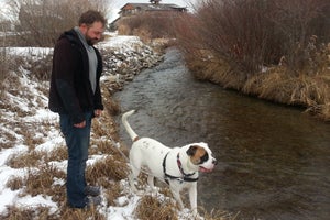 Bluto the American bulldog and Silas