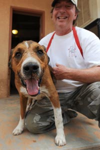 Bentley the dog who survived distemper with Tom