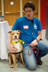 Zach Walker volunteering at the Pet Super Adoption