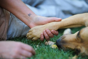 Sporting a Best Friends tattoo