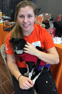 Blossom the special-needs Chihuahua who uses a cart and Amanda