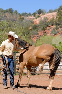 Ryan Rose and Chuck the horse