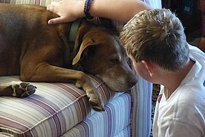 Boy named Ronan from a volunteer church youth group and Chief the dog