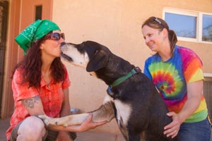 Elwood the hound mix giving his trainer a kiss