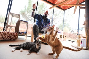 Bo and Barney playing with Jackson Galaxy