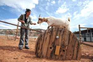 Rosalie and Pan the goat