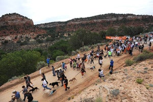 Strut Your Mutt strutters in Kanab