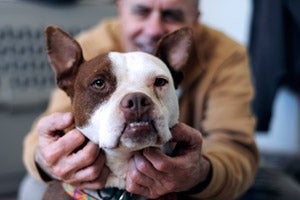 Abby the dog getting scratched by Dr. Frank