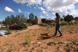 Alan the cat takes a walk at Best Friends