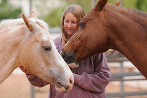 Two horses Cassia and Helen and woman Sharlee