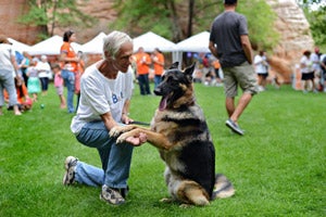 Volunteer at Best Friends Dan Lichtenstein with a German shepherd at Strut Your Mutt in Kanab