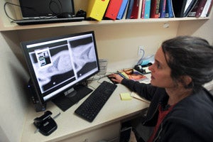 Veterinarian looking at an x-ray of a cat 