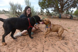 Haylee and the dogs Trina and Norton