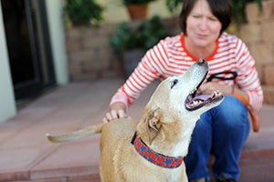 Jennifer Hubbard with a dog