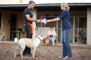 Ranger was a different (much better behaved) dog on graduation day