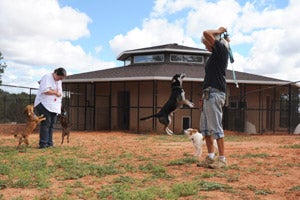 Carl the levitating dog works his magic in Dogtown at Best Friends