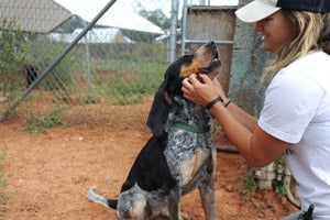 Lucy Lu the hound with her caregiver at Best Friends