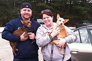 Dogs Reese and Hershey from Friends of Homeless Animals with their adopters