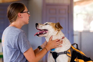 CB the dog who is jumpy and mouthy and Julie the trainer