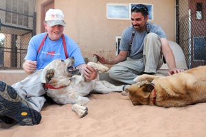 Fred the dog hanging out with Tom, Haven and another dog