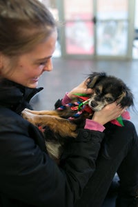 Jillian Russell and Chewy