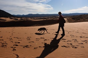 Pretty Girl the former dogfighting dog on a walk at the Coral Pink Sand Dunes in Southern Utah