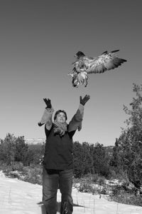 Red-tailed hawk release day