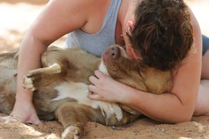 Keeley the retriever mix dog getting a love and snuggle from her caregiver