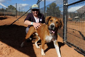 Sarah-Jane Wicksteed, a volunteer from Australia, with Bentley the dog