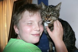 Hemi the senior tabby is drawn to Marcia’s autistic grandson