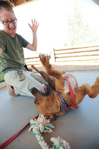 Hoagie the dog enjoys his training