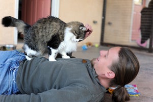 A bond between Levi and Skadi the timid kitty