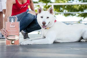 Renee Schlather of Treasured K9s with a white dog at Strut Your Mutt in NYC