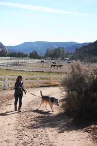 Miska the shy husky dog and a caregiver out on a walk